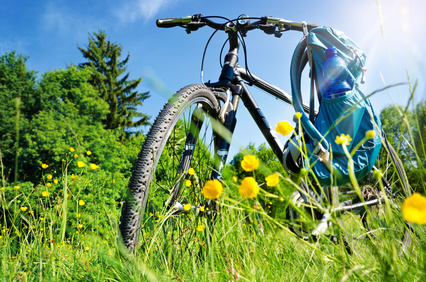 Zeigt Fahrrad in einer Blumenweise